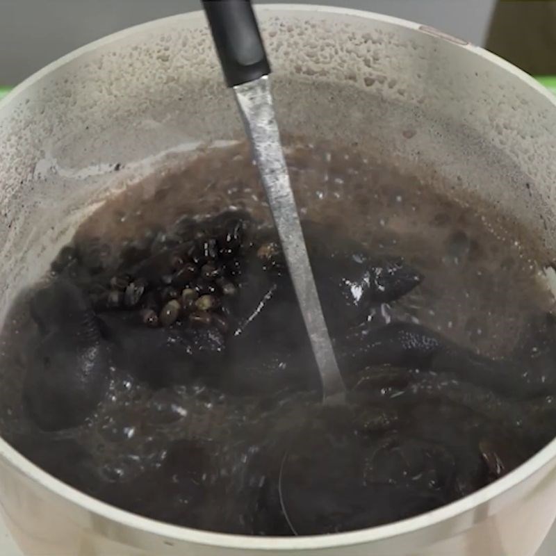 Kiểm tra gà ác hầm