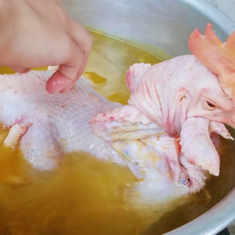 Luộc và ủ gà cúng chín đều